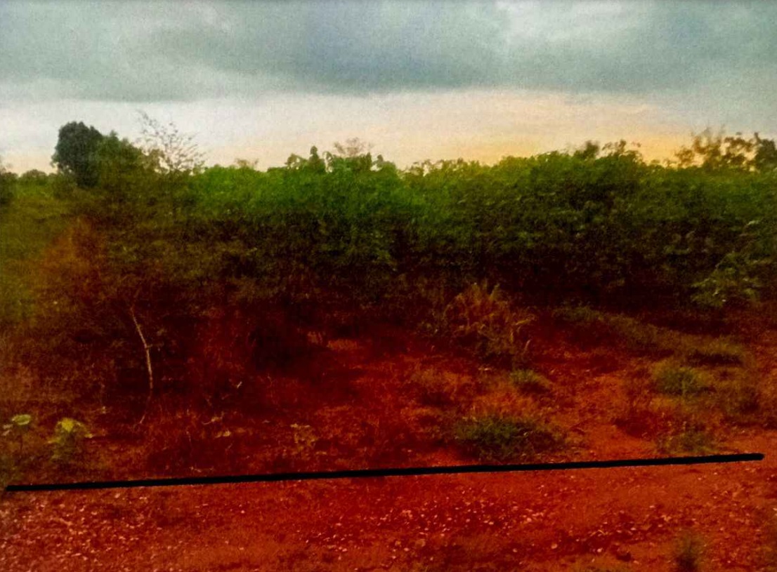 รูปที่ดินว่างเปล่า ธงชัยเหนือ ปักธงชัย นครราชสีมา