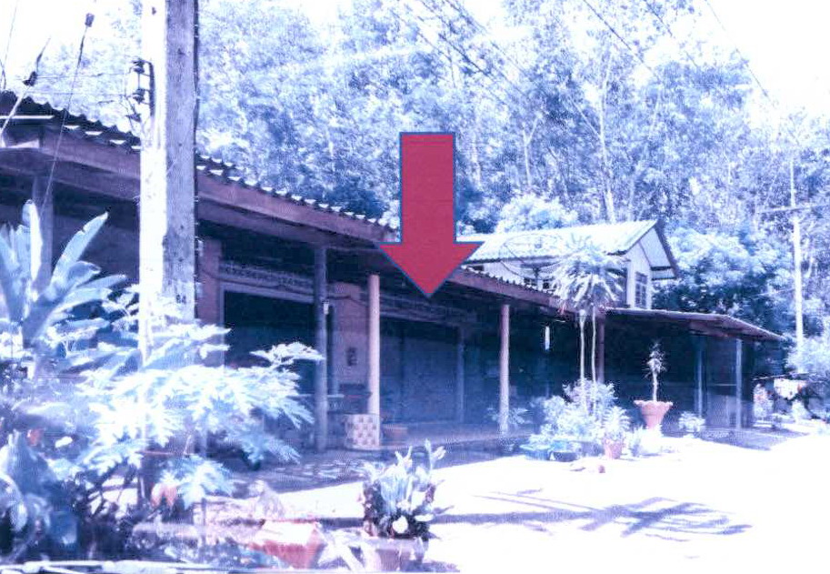 รูปที่ดินพร้อมสิ่งปลูกสร้าง ที่วัง ทุ่งสง นครศรีธรรมราช
