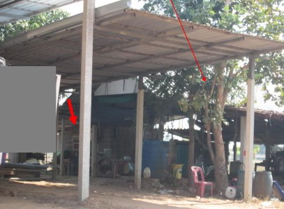รูปที่ดินพร้อมสิ่งปลูกสร้าง หนองพอก ธวัชบุรี ร้อยเอ็ด