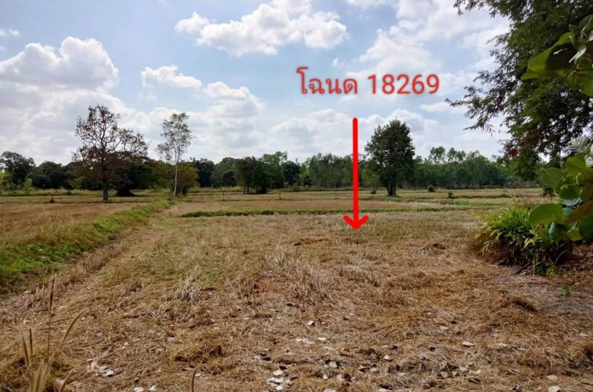 รูปที่ดินว่างเปล่า โนนกลาง สำโรง อุบลราชธานี