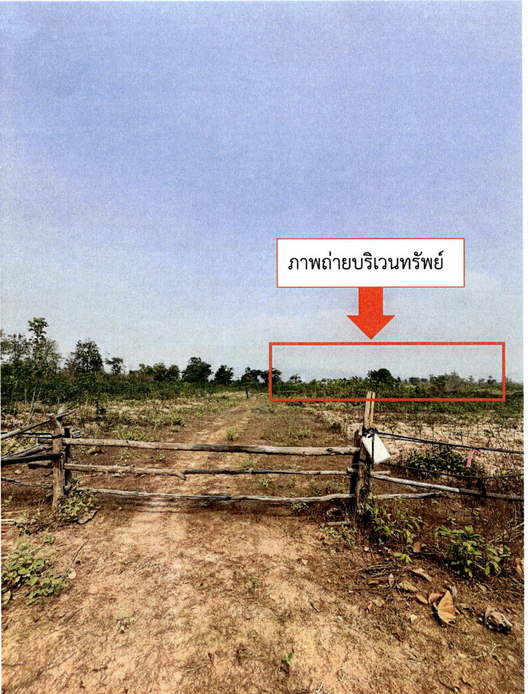 รูปที่ดินว่างเปล่า แม่ปุ แม่พริก ลำปาง