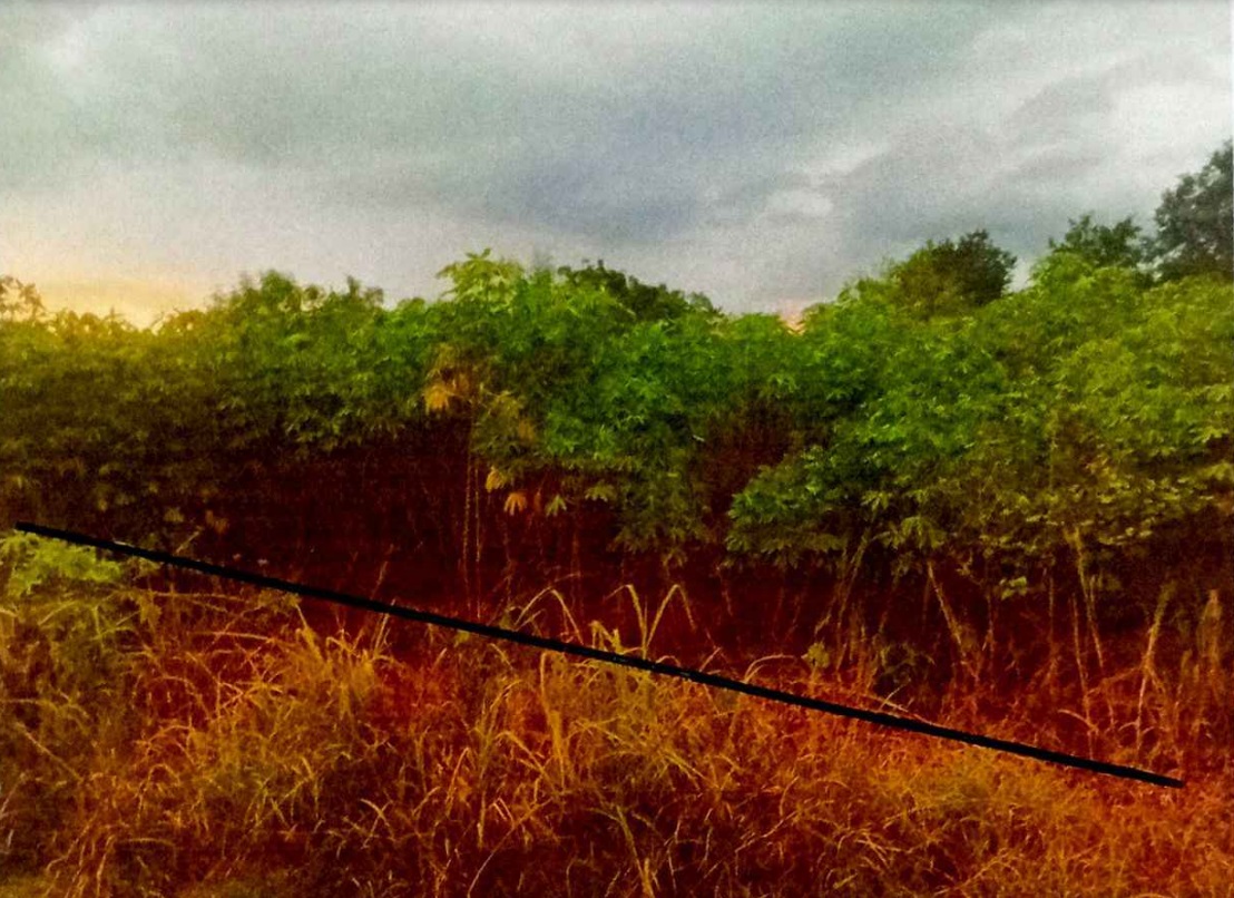 รูปที่ดินว่างเปล่า ธงชัยเหนือ ปักธงชัย นครราชสีมา
