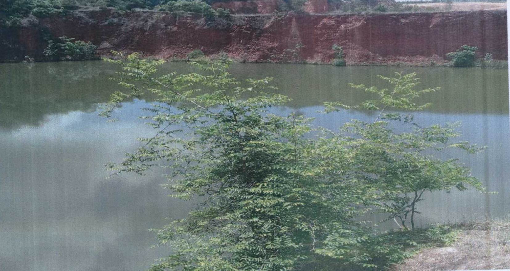 รูปที่ดินว่างเปล่า ทุ่งหลวง ปากท่อ ราชบุรี