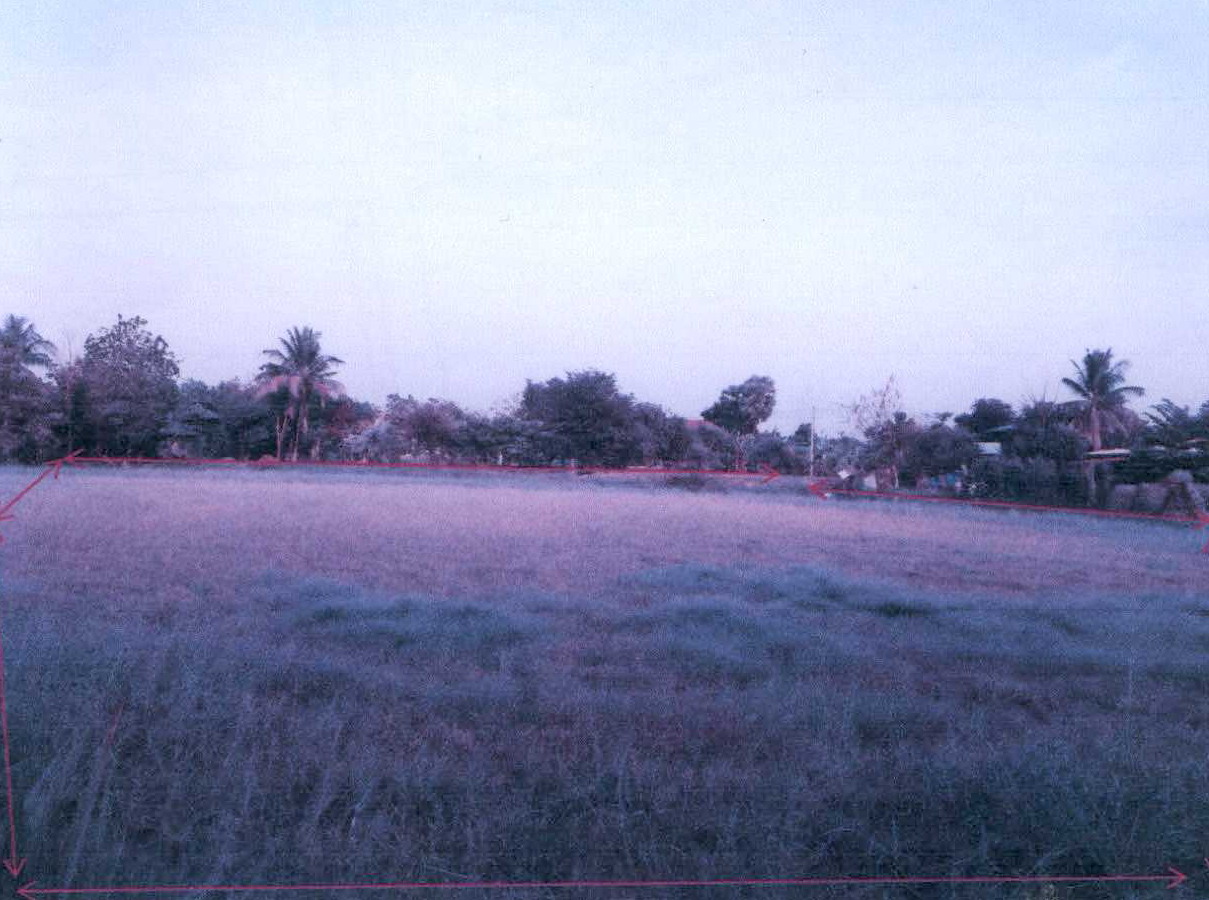 รูปที่ดินว่างเปล่า ช้างทอง เฉลิมพระเกียรติ นครราชสีมา