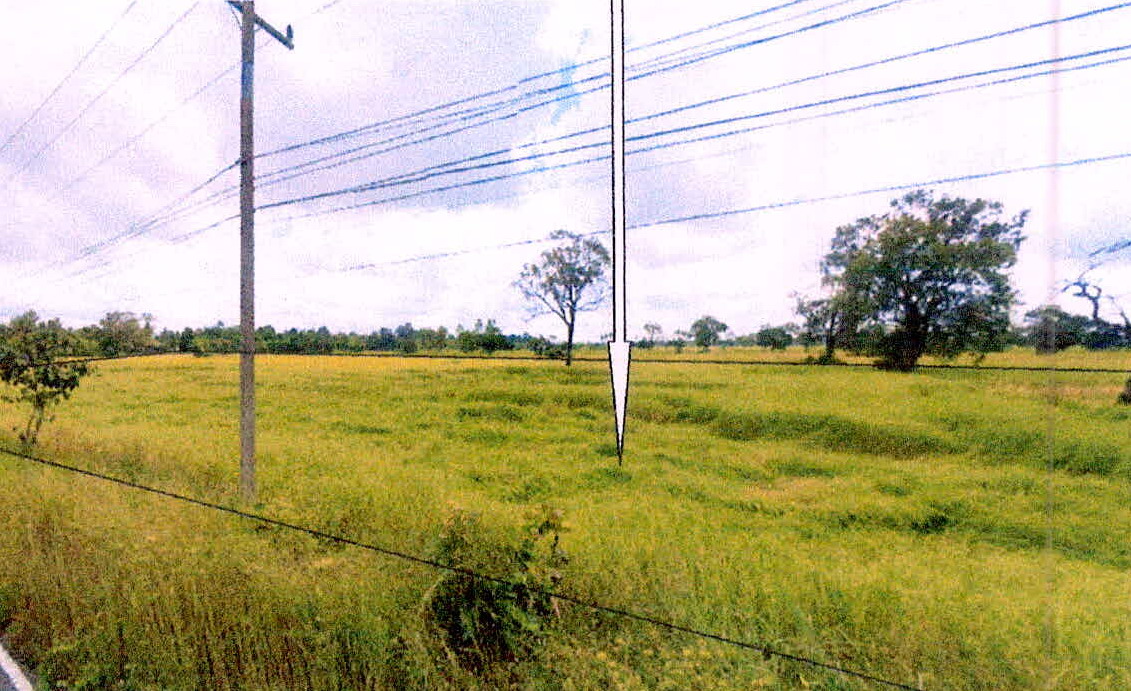 รูปที่ดินว่างเปล่า ยางชุมน้อย ยางชุมน้อย ศรีสะเกษ