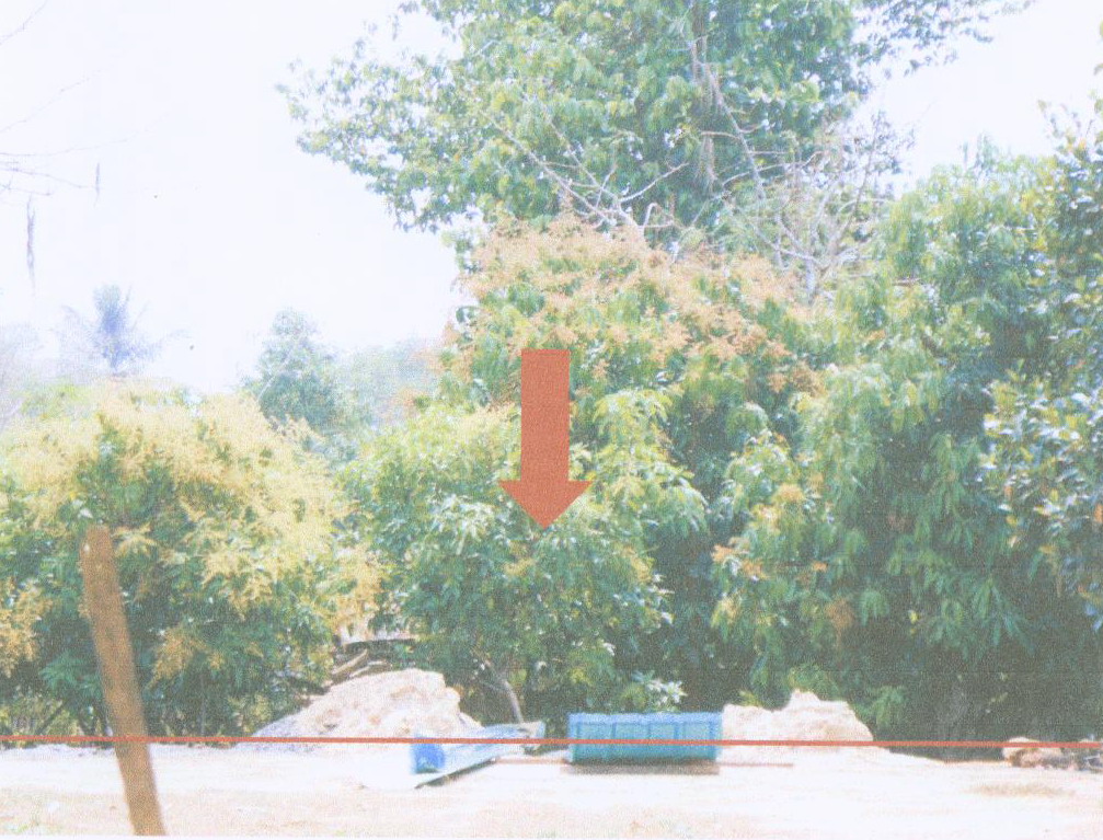 รูปที่ดินว่างเปล่า เชียงขวัญ เชียงขวัญ ร้อยเอ็ด