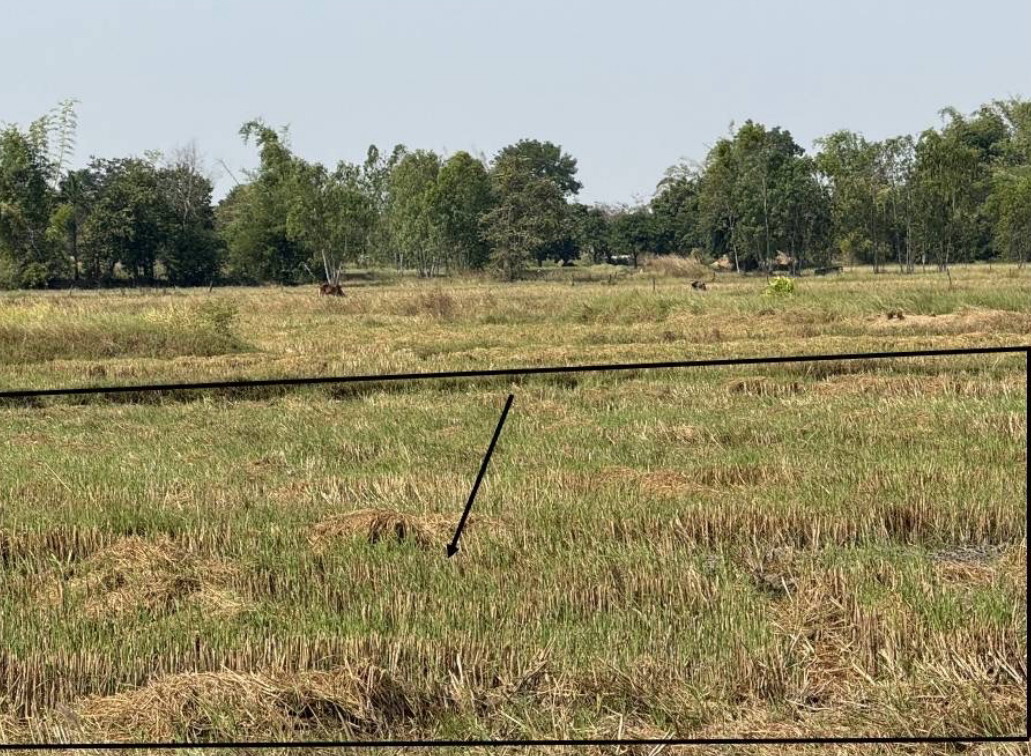 รูปที่ดินว่างเปล่า เชิงชุม พรรณานิคม สกลนคร