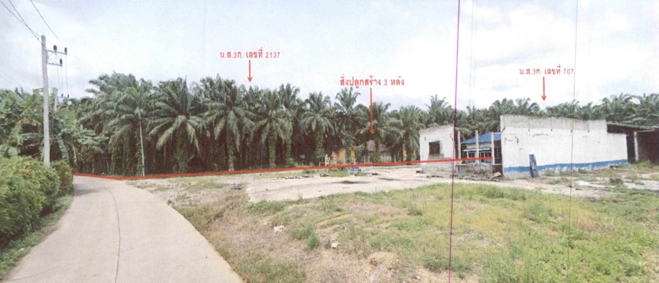 รูปที่ดินพร้อมสิ่งปลูกสร้าง บางมะเดื่อ พุนพิน สุราษฎร์ธานี