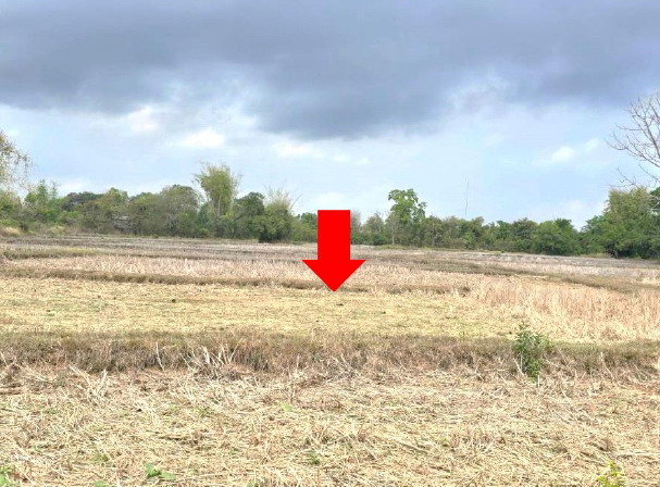 รูปที่ดินว่างเปล่า ห้วยยาง เมืองสกลนคร สกลนคร
