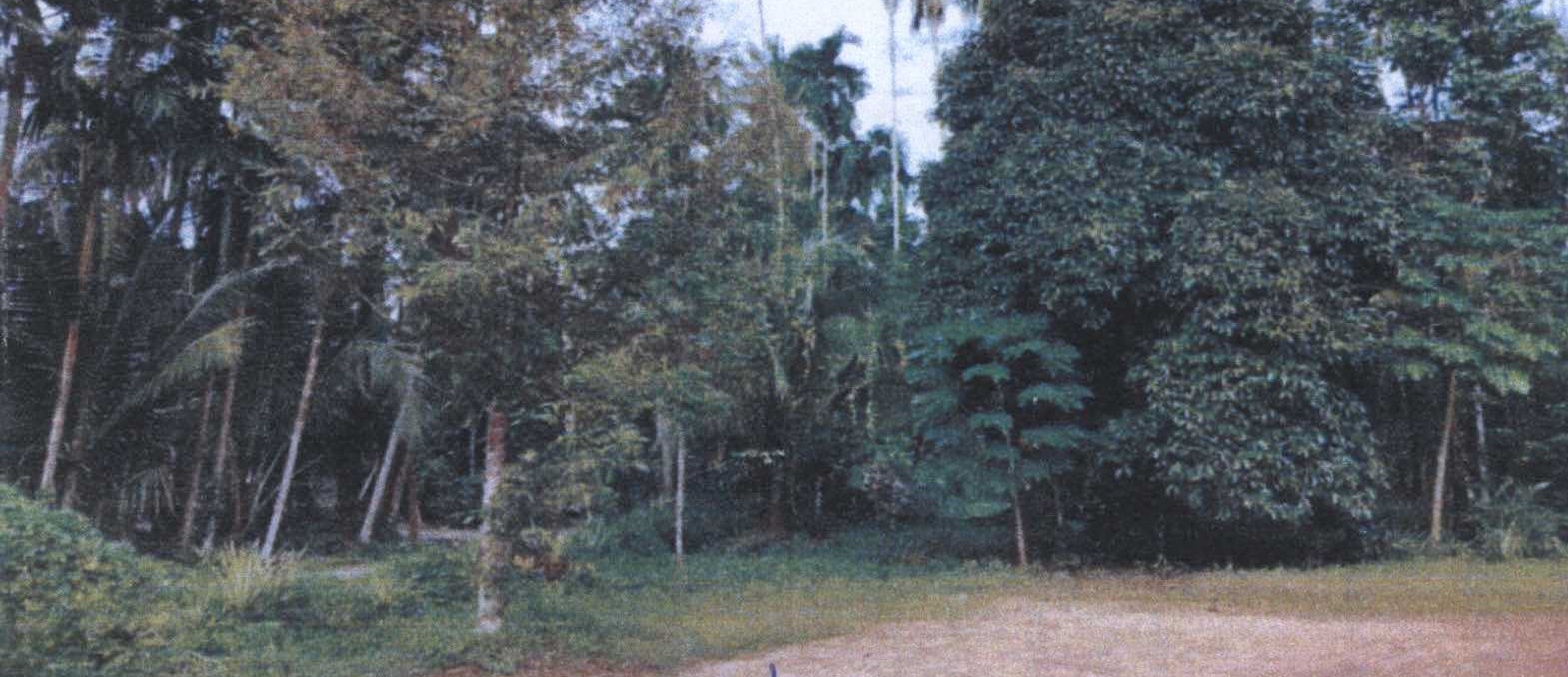 รูปที่ดินพร้อมสิ่งปลูกสร้าง ละอาย ฉวาง นครศรีธรรมราช