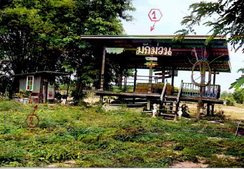รูปที่ดินพร้อมสิ่งปลูกสร้าง เมืองแก สตึก บุรีรัมย์
