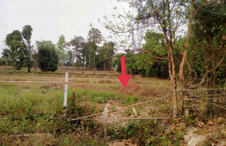 รูปที่ดินว่างเปล่า หนองหาน หนองหาน อุดรธานี