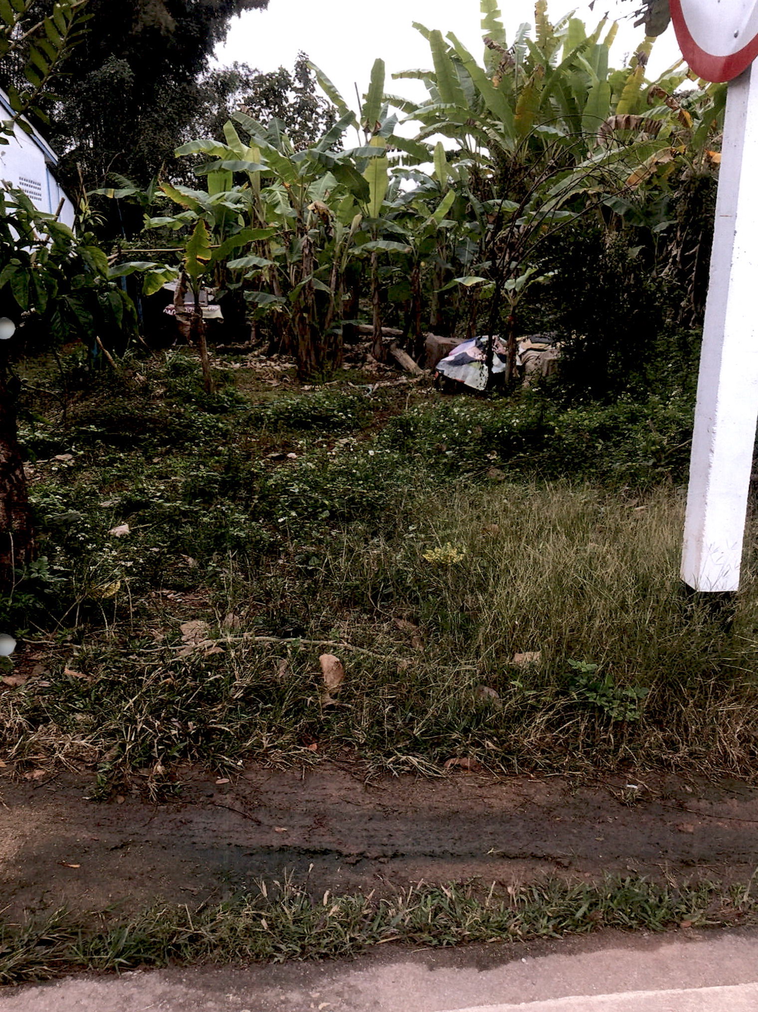 รูปที่ดินว่างเปล่า เวียงชัย เวียงชัย เชียงราย