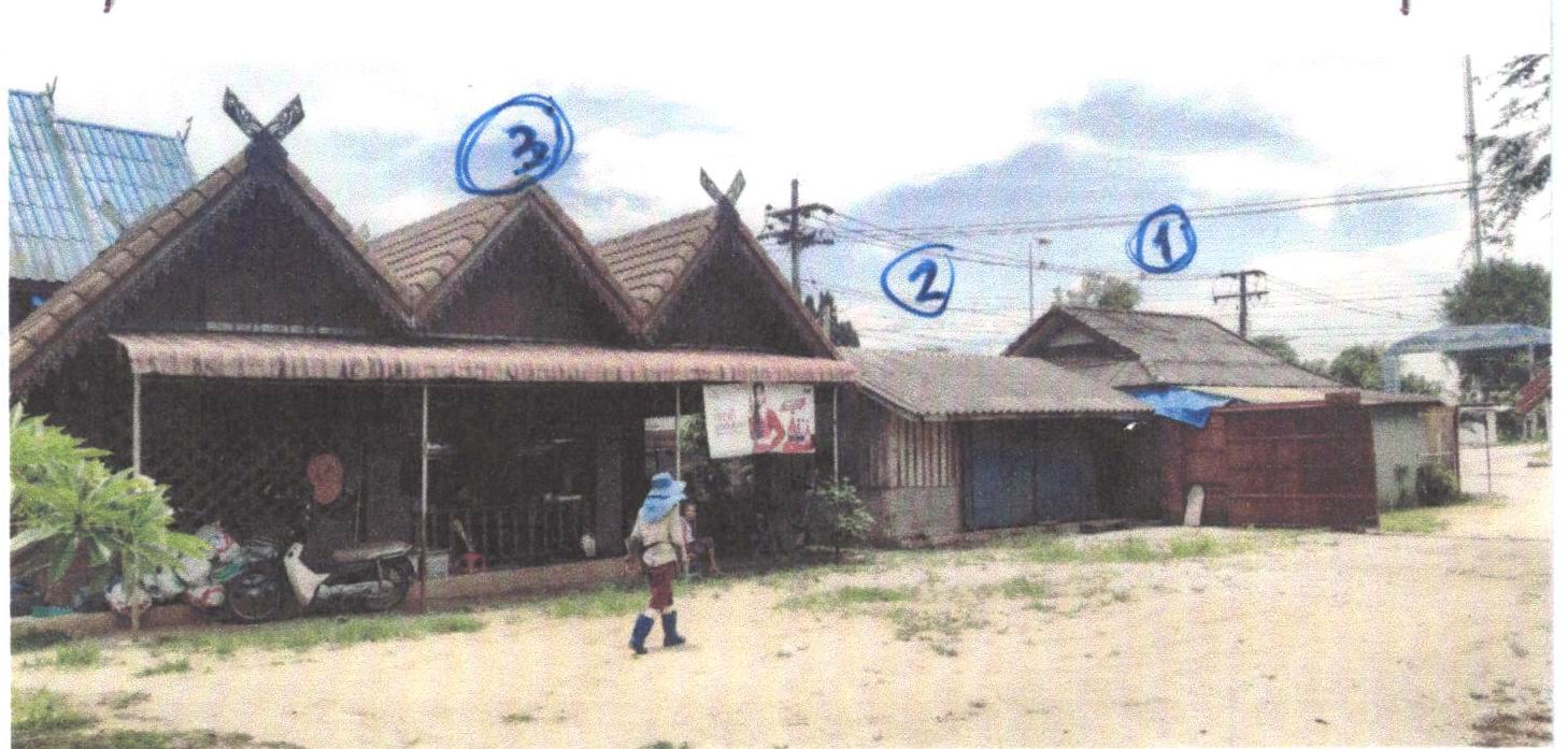 รูปที่ดินพร้อมสิ่งปลูกสร้าง ป่าแดด แม่สรวย เชียงราย