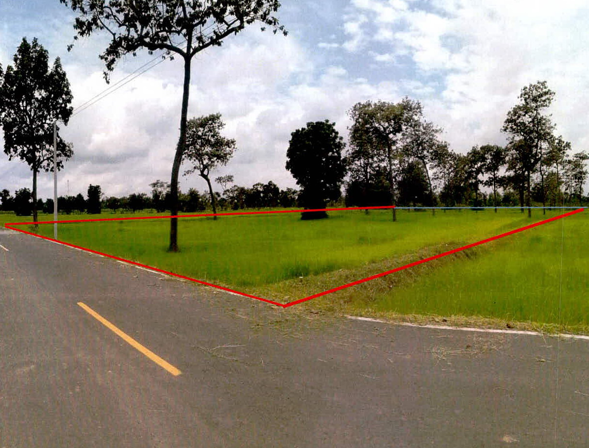 รูปที่ดินว่างเปล่า โคกสะอาด ปราสาท สุรินทร์