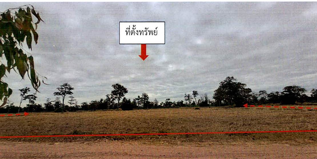 รูปที่ดินว่างเปล่า โคกยาง ปราสาท สุรินทร์