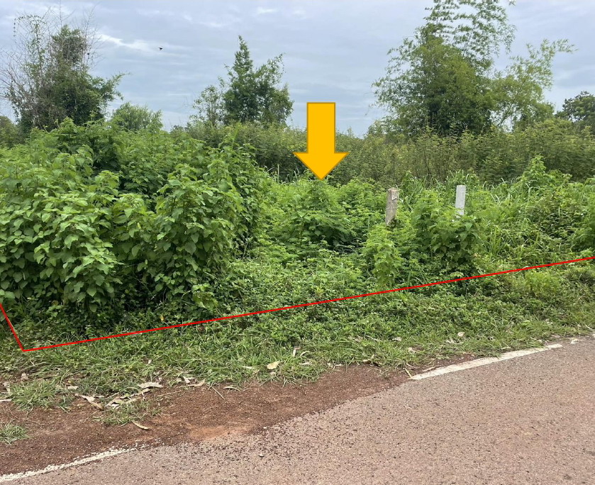 รูปที่ดินว่างเปล่า บะฮี พรรณานิคม สกลนคร