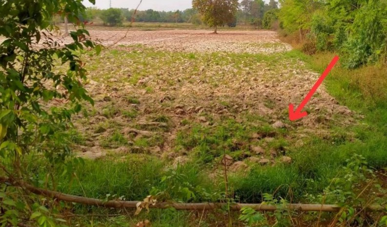 รูปที่ดินว่างเปล่า หนองหาน หนองหาน อุดรธานี