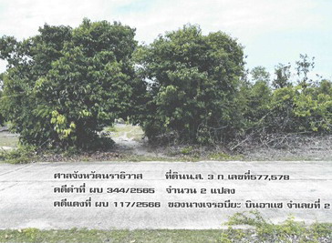 รูปที่ดินว่างเปล่า โคกเคียน เมืองนราธิวาส นราธิวาส