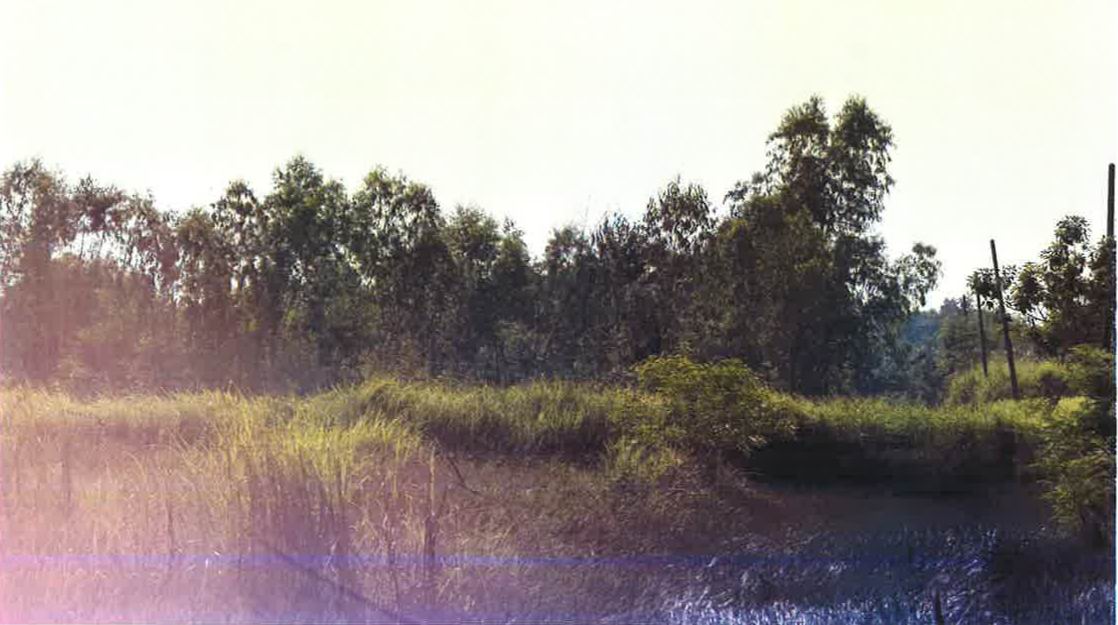 รูปที่ดินว่างเปล่า ศรีจุฬา เมืองนครนายก นครนายก