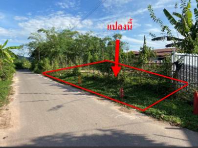 รูปที่ดินว่างเปล่า เนินหอม เมืองปราจีนบุรี ปราจีนบุรี