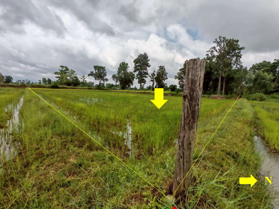 รูปที่ดินว่างเปล่า เสื่องข้าว ศรีรัตนะ ศรีสะเกษ