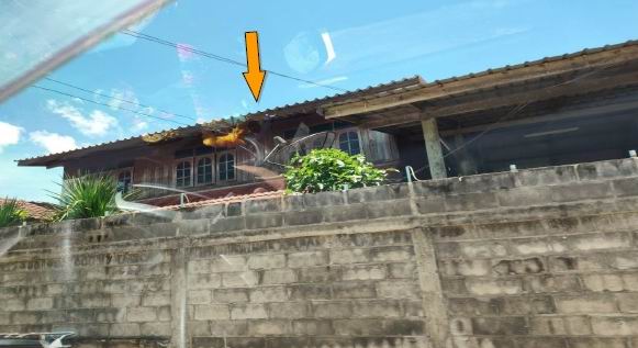 รูปที่ดินพร้อมสิ่งปลูกสร้าง โคกกลาง ลำปลายมาศ บุรีรัมย์