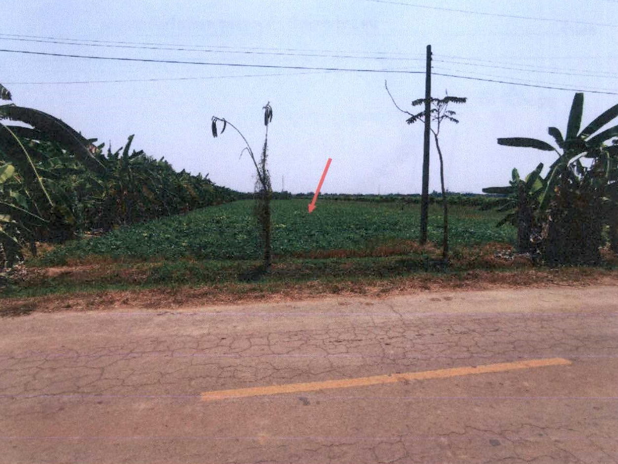 รูปที่ดินว่างเปล่า คลองมะพลับ ศรีนคร สุโขทัย