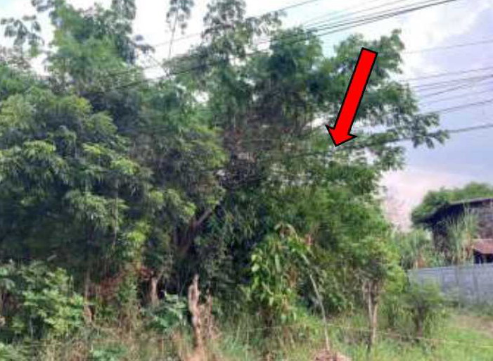รูปที่ดินว่างเปล่า โนนสัง โนนสัง หนองบัวลำภู