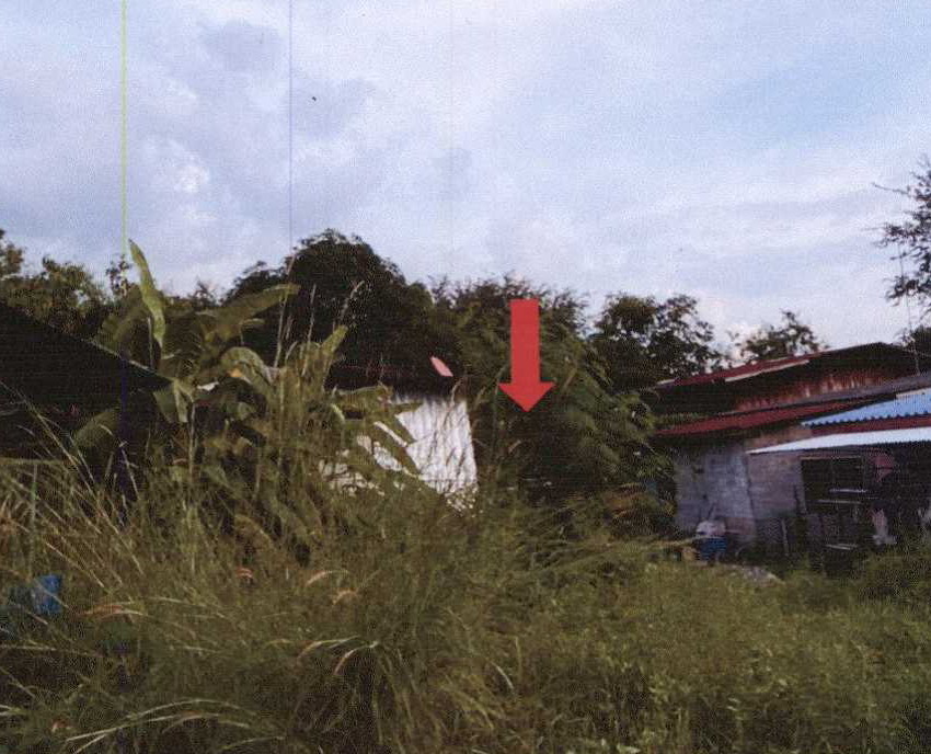 รูปที่ดินว่างเปล่า หนองไข่น้ำ หนองแค สระบุรี