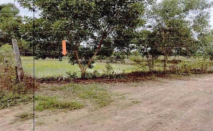 รูปที่ดินว่างเปล่า โพนแพง รัตนวาปี หนองคาย