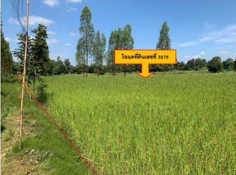 รูปที่ดินว่างเปล่า เมืองพะไล บัวลาย นครราชสีมา