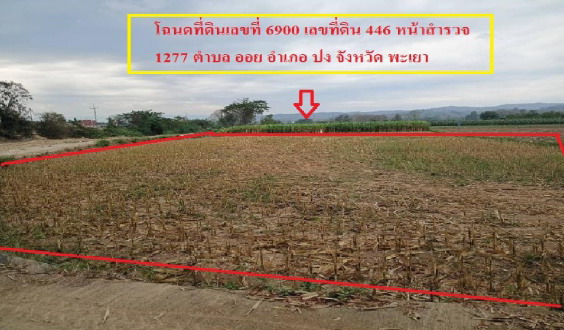 รูปที่ดินว่างเปล่า ออย ปง พะเยา