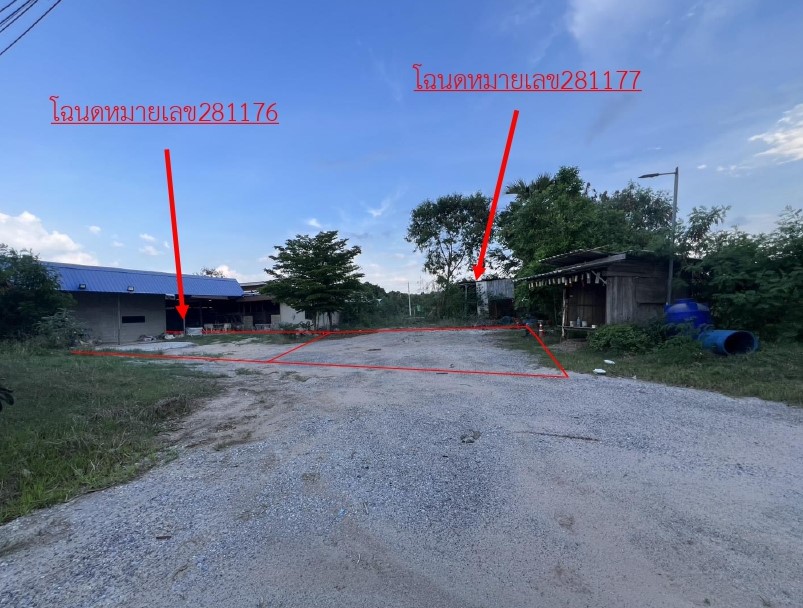 รูปที่ดินพร้อมสิ่งปลูกสร้าง หนองไข่น้ำ เมืองนครราชสีมา นครราชสีมา