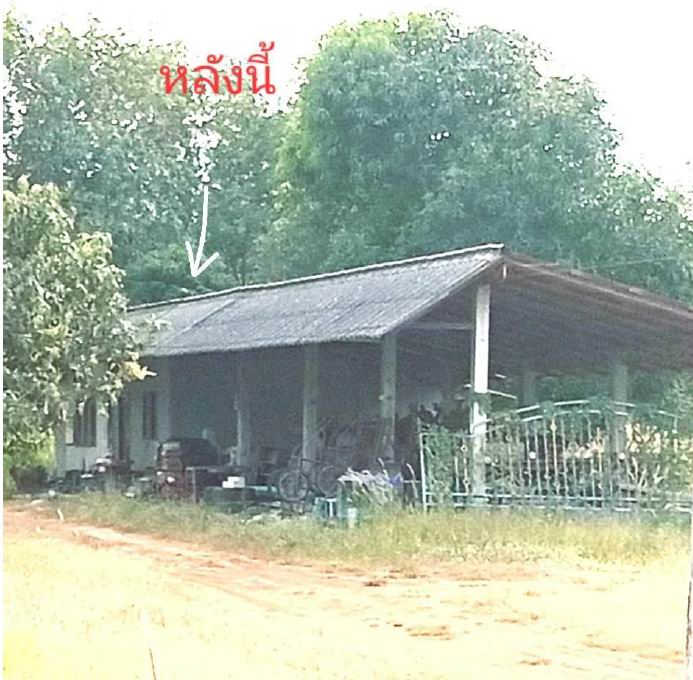 รูปที่ดินพร้อมสิ่งปลูกสร้าง หนองหญ้าลาด กันทรลักษ์ ศรีสะเกษ