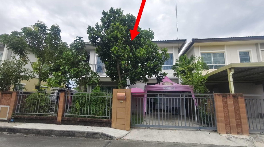 รูปที่ดินพร้อมสิ่งปลูกสร้าง ต้นเปา สันกำแพง เชียงใหม่