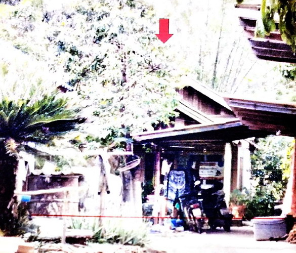 รูปที่ดินพร้อมสิ่งปลูกสร้าง แม่ปืม เมืองพะเยา พะเยา