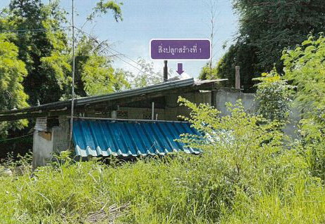 รูปที่ดินพร้อมสิ่งปลูกสร้าง บ้านเดื่อ เกษตรสมบูรณ์ ชัยภูมิ
