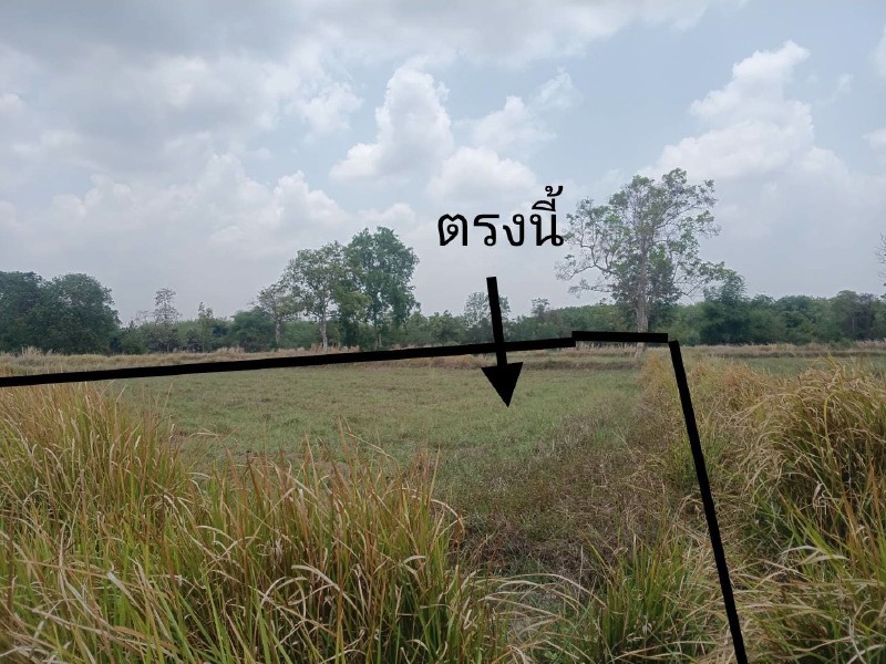 รูปที่ดินว่างเปล่า หนองงูเหลือม เบญจลักษ์ ศรีสะเกษ