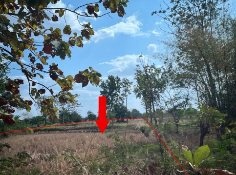 รูปที่ดินว่างเปล่า ก้านเหลือง แวงน้อย ขอนแก่น