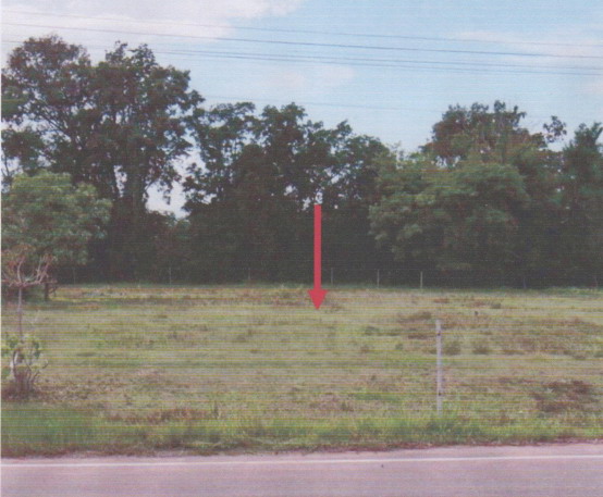รูปที่ดินว่างเปล่า โบสถ์ พิมาย นครราชสีมา