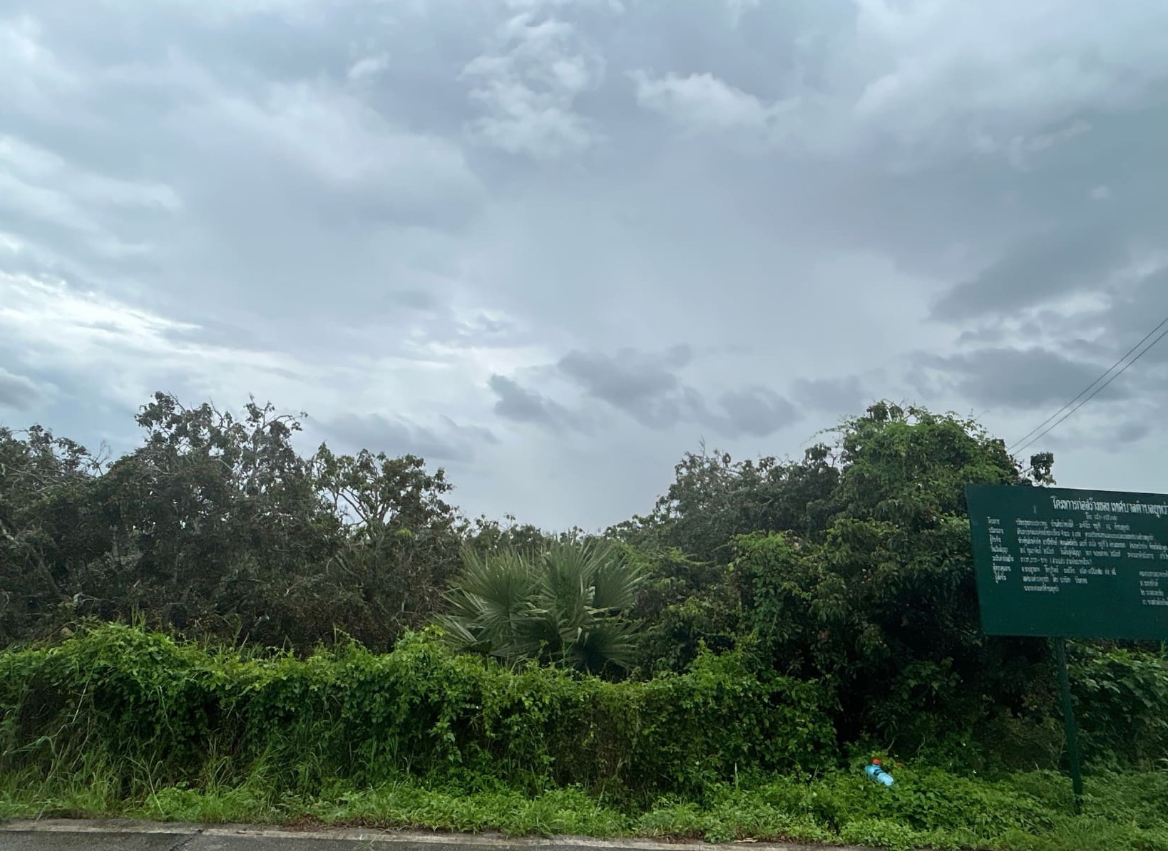 รูปที่ดินว่างเปล่า ยุหว่า สันป่าตอง เชียงใหม่