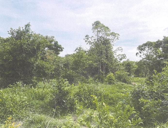 รูปที่ดินว่างเปล่า หนองพังค่า เมืองอุทัยธานี อุทัยธานี
