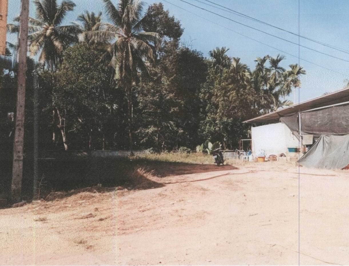 รูปที่ดินว่างเปล่า คุระ คุระบุรี พังงา
