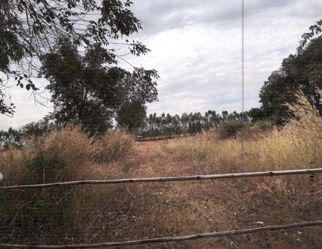รูปที่ดินว่างเปล่า หนองยายพิมพ์ นางรอง บุรีรัมย์