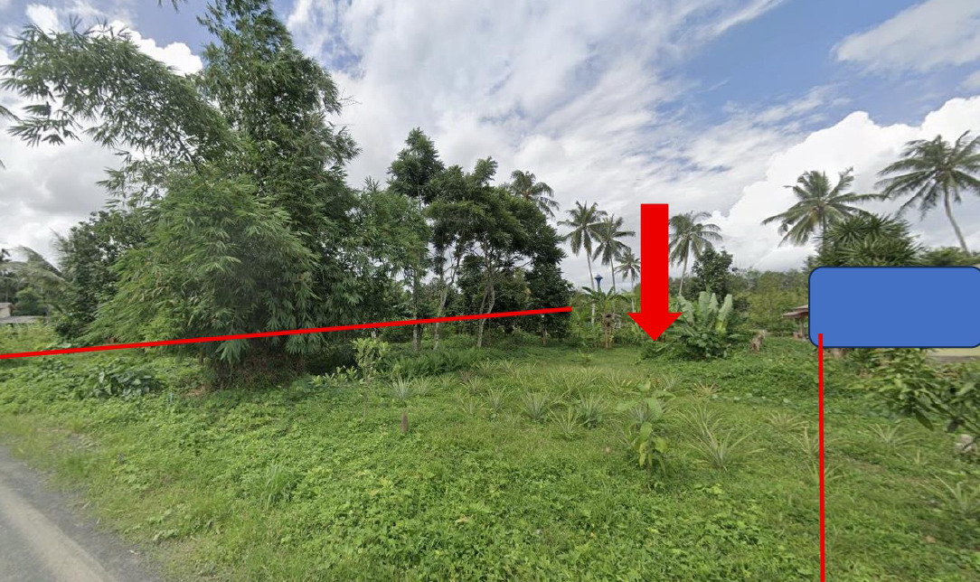 รูปที่ดินว่างเปล่า น้ำผุด เมืองตรัง ตรัง