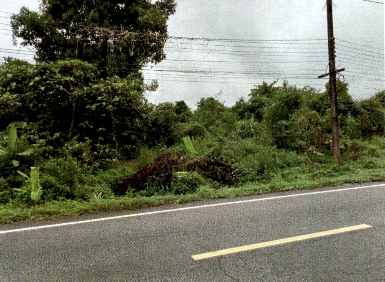 รูปที่ดินว่างเปล่า บางนอน เมือง ระนอง