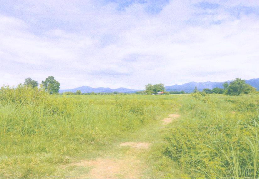 รูปที่ดินว่างเปล่า เหมืองหม้อ เมืองแพร่ แพร่
