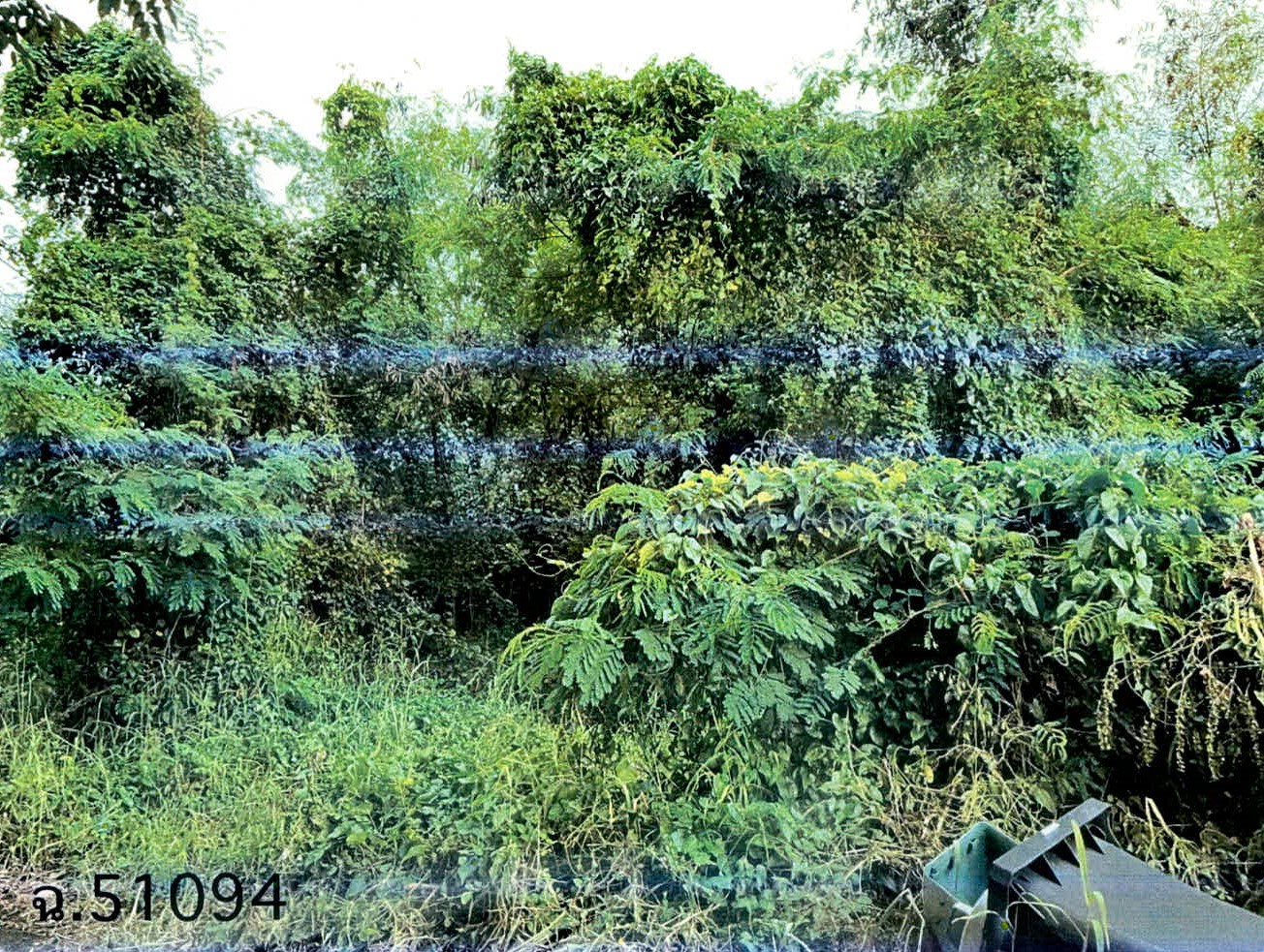 รูปที่ดินพร้อมสิ่งปลูกสร้าง นอกเมือง เมืองสุรินทร์ สุรินทร์
