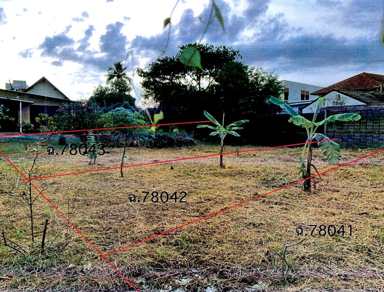 รูปที่ดินพร้อมสิ่งปลูกสร้าง นอกเมือง เมืองสุรินทร์ สุรินทร์